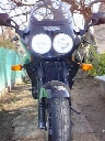 triumph