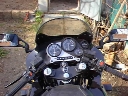 triumph