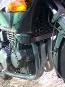 triumph